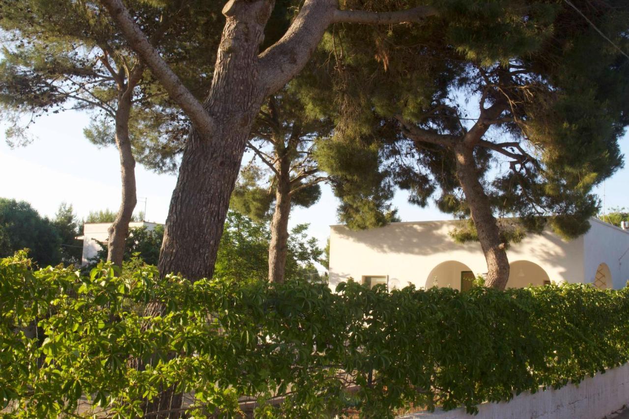 Villa Lucia Maruggio Exteriér fotografie