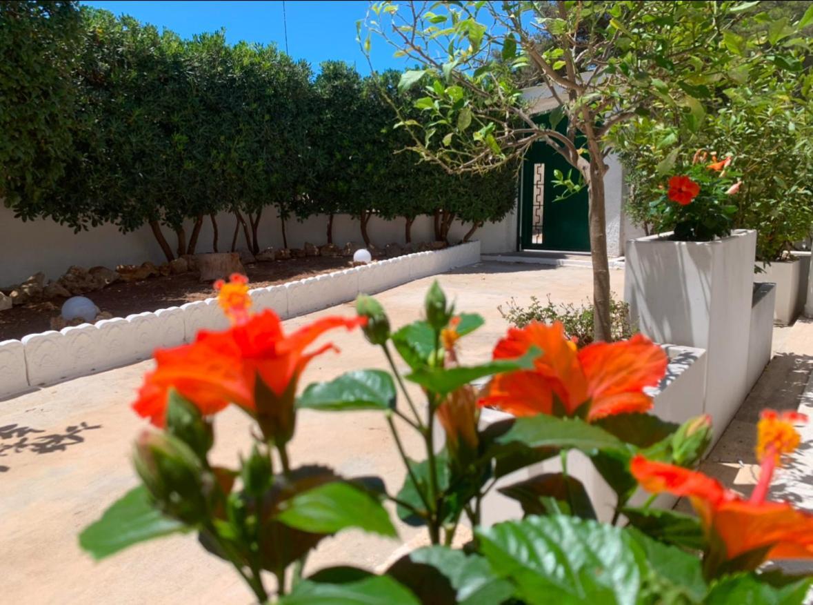 Villa Lucia Maruggio Exteriér fotografie